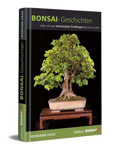 Bonsai Geschichten Hermann Haas 